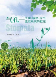 气孔 土壤 植物 大气连续系统的枢纽