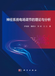 神经系统电场调节的理论与分析