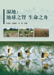 湿地