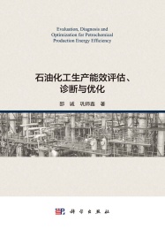 石油化工生产能效评估,诊断与优化