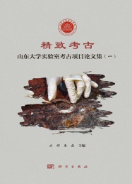 精致考古 山东大学实验室考古项目论文集 1