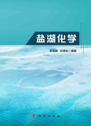 盐湖化学