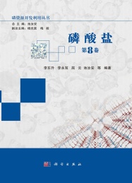 磷资源开发利用丛书 磷酸盐 第8卷