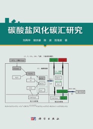 碳酸盐风化碳汇研究