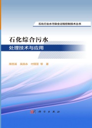 石化行业水污染全过程控制技术丛书 石化综合污水处理技术与应用