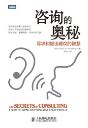 咨询的奥秘 寻求和提出建议的智慧