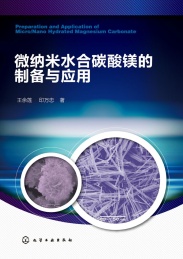微纳米水合碳酸镁的制备与应用