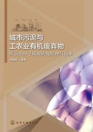 城市污泥与工农业有机废弃物厌氧小分子碳源转化原理与技术