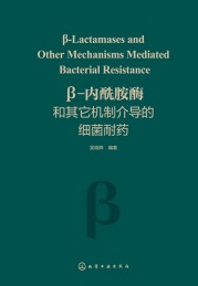 β内酰胺酶和其它机制介导的细菌耐药