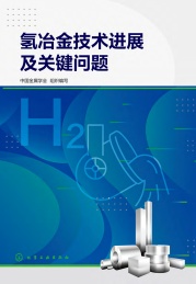 氢冶金技术进展及关键问题
