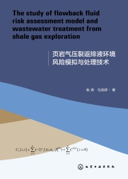 页岩气压裂返排液环境风险模拟与处理技术 英文版