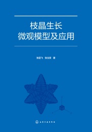 枝晶生长微观模型及应用