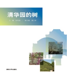 清华园的树