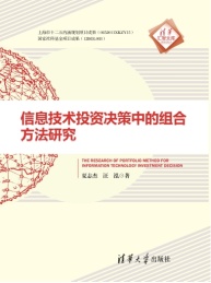 信息技术投资决策中的组合方法研究