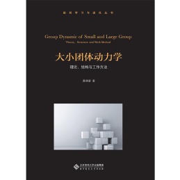 大小团体动力学