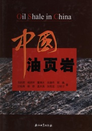中国油页岩