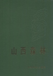 山西森林
