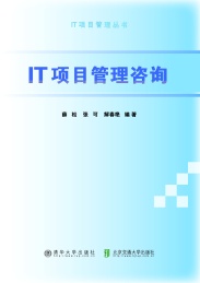 IT项目管理咨询