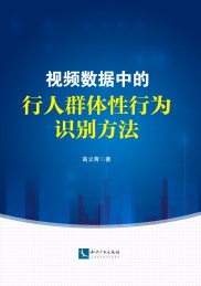 视频数据中的行人群体性行为识别方法