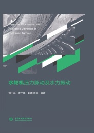 水轮机压力脉动及水力振动