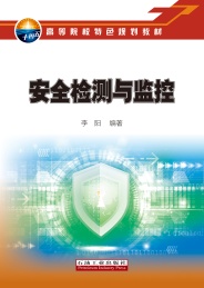 安全检测与监控