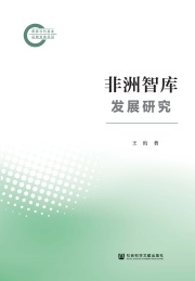 非洲智库发展研究