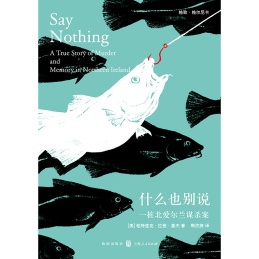 什么也别说 一桩北爱尔兰谋杀案