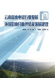 云南省水电硅行业发展环境影响分析评价及发展建议