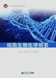 细胞生物化学纲要