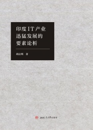 印度IT产业迅猛发展的要素论析