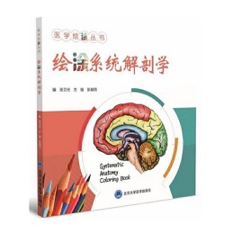 绘涂系统解剖学