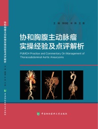 协和胸腹主动脉瘤实操经验及点评解析