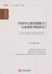 中国中长期负债能力与系统性风险研究