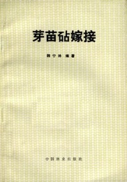 芽苗砧嫁接