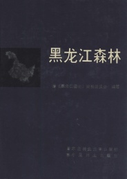 黑龙江森林