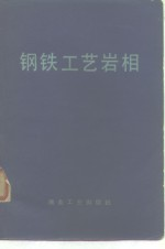 钢铁工艺岩相