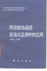微波被动遥感在海况监测中的应用