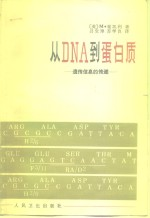 从DNA到蛋白质 遗传信息的传递