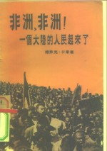非洲,非洲!一个大陆的人民起来了