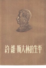 约·维·斯大林的生平