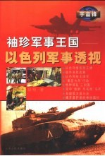 袖珍军事王国 以色列军事透视