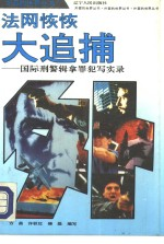 法网恢恢-大追捕 国际刑警缉拿罪犯写实录