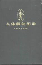 人体解剖图谱 普及本