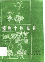 植物个体发育
