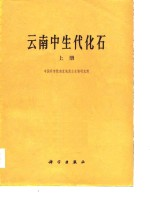 云南中生代化石 上
