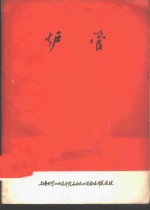 石油化工设备设计参考资料 石油裂解炉与制氢转化炉 炉管