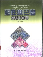 恶性淋巴瘤病理诊断学