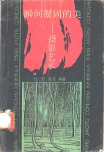 瞬间凝固的美 摄影艺术