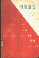 细胞遗传