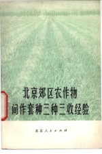北京郊区农作物间作套种三种三收经验